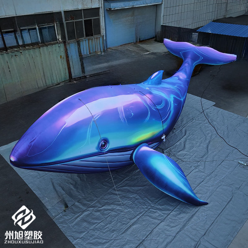 Ballena azul inflable, utiliza - Marine Aquarium Used reseña y precio