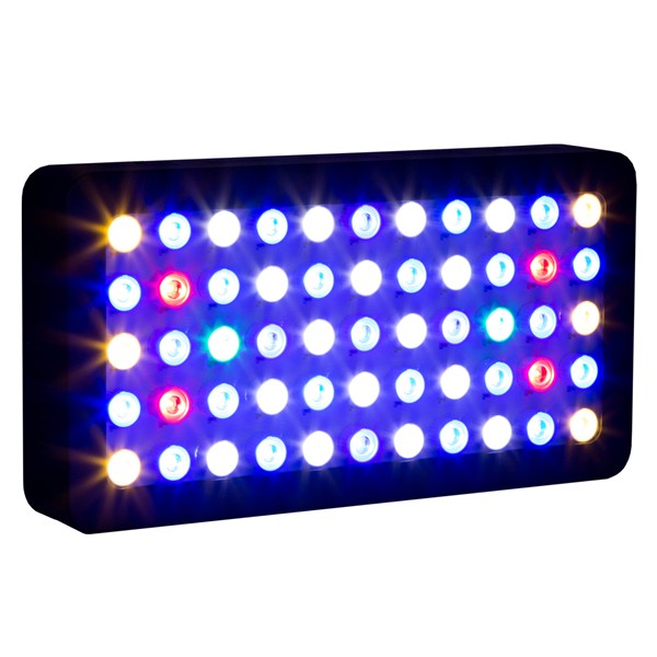 Chip LED de 3W para acuario, p - Marine Aquarium Used reseña y precio