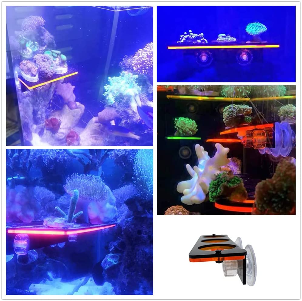 Soporte de enchufe de Coral fl - Marine Aquarium Tanks reseña y precio