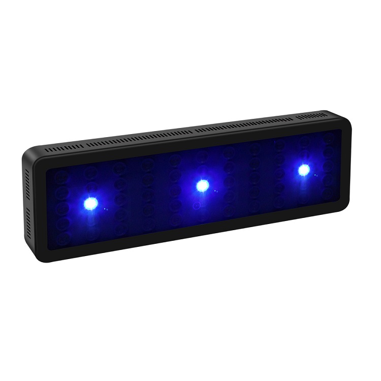 BT Control inalámbrico DIY esp - Marine Aquarium Used reseña y precio