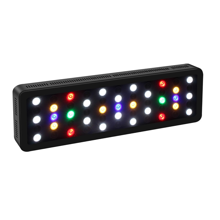 BT Control inalámbrico DIY esp - Marine Aquarium Used reseña y precio