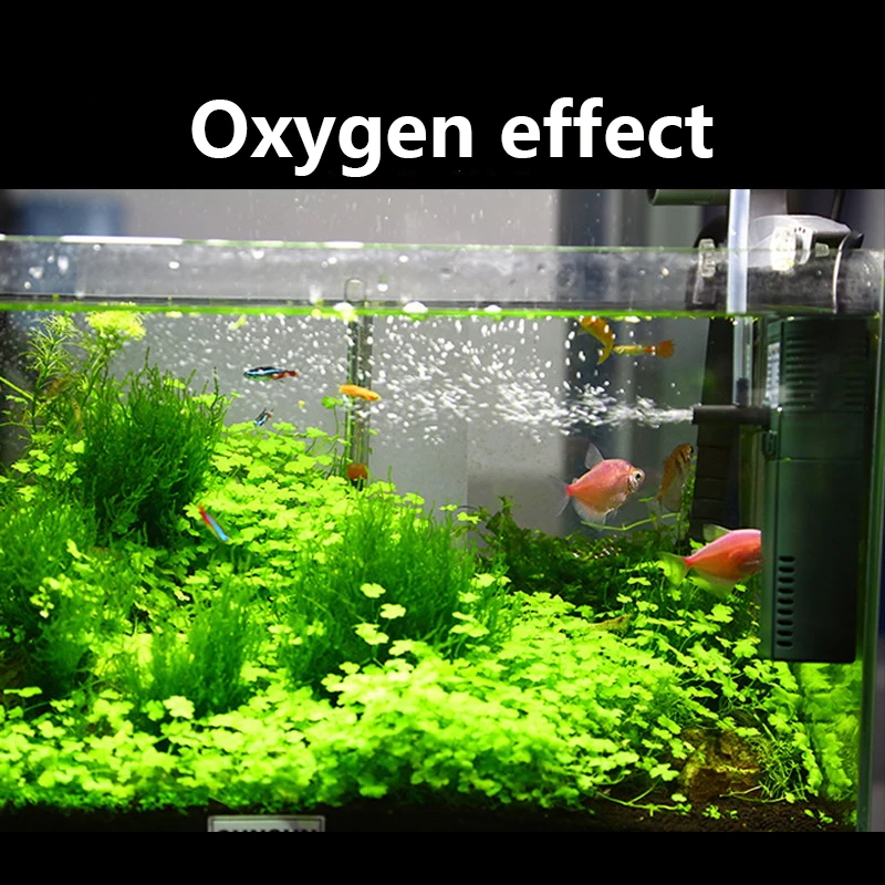 SUNSUN-bomba sumergible de oxí - Marine Aquarium Chiller reseña y precio